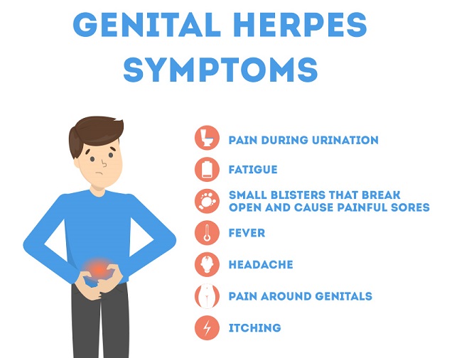 Genital Herpes Infographics